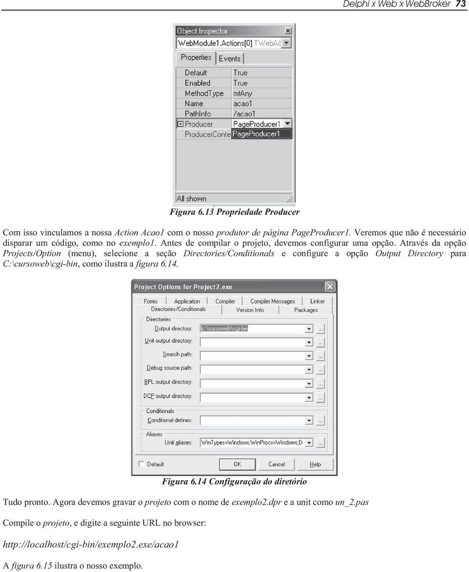 Através da opção Projects/Option (menu), selecione a seção Directories/Conditionals e configure a opção Output Directory para C:\cursoweb\cgi-bin, como ilustra a figura 6.14.