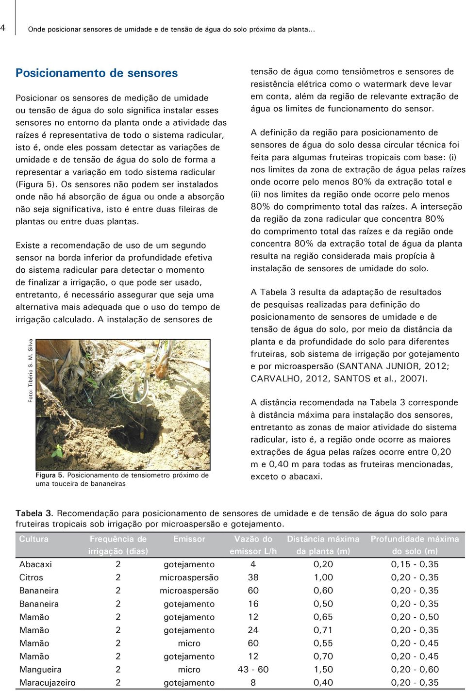 representativa de todo o sistema radicular, isto é, onde eles possam detectar as variações de umidade e de tensão de água do solo de forma a representar a variação em todo sistema radicular (Figura