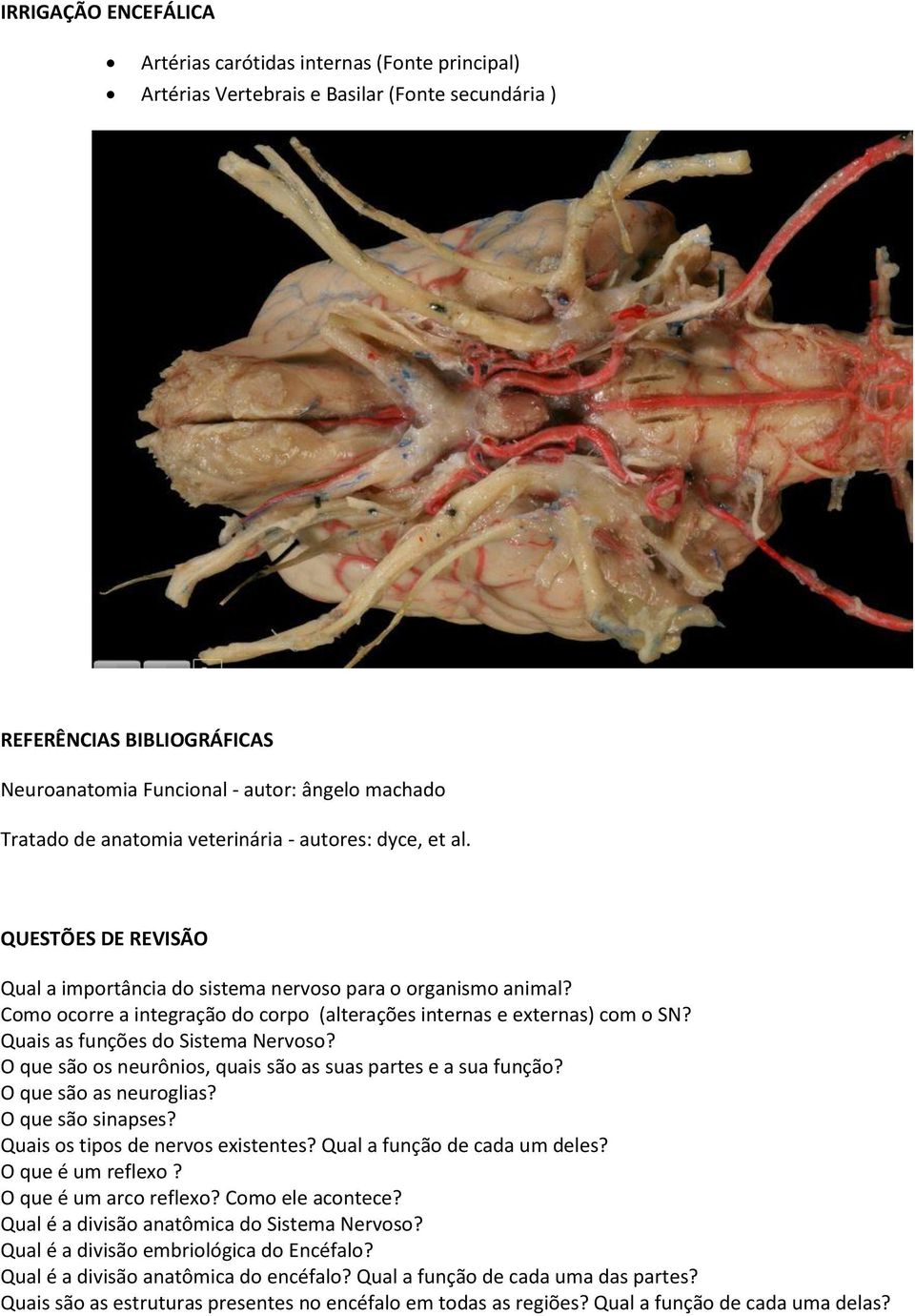 Como ocorre a integração do corpo (alterações internas e externas) com o SN? Quais as funções do Sistema Nervoso? O que são os neurônios, quais são as suas partes e a sua função?