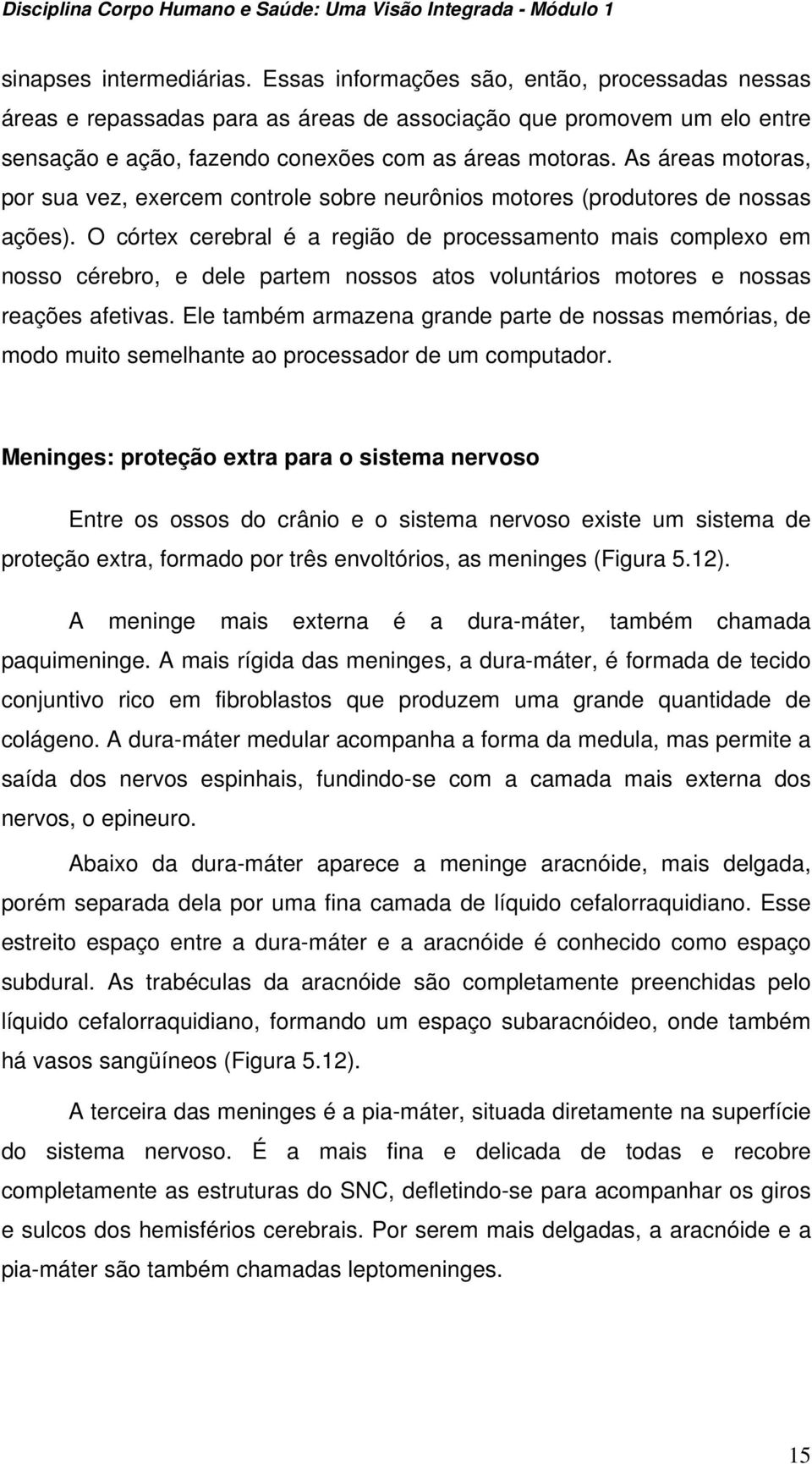 As áreas motoras, por sua vez, exercem controle sobre neurônios motores (produtores de nossas ações).