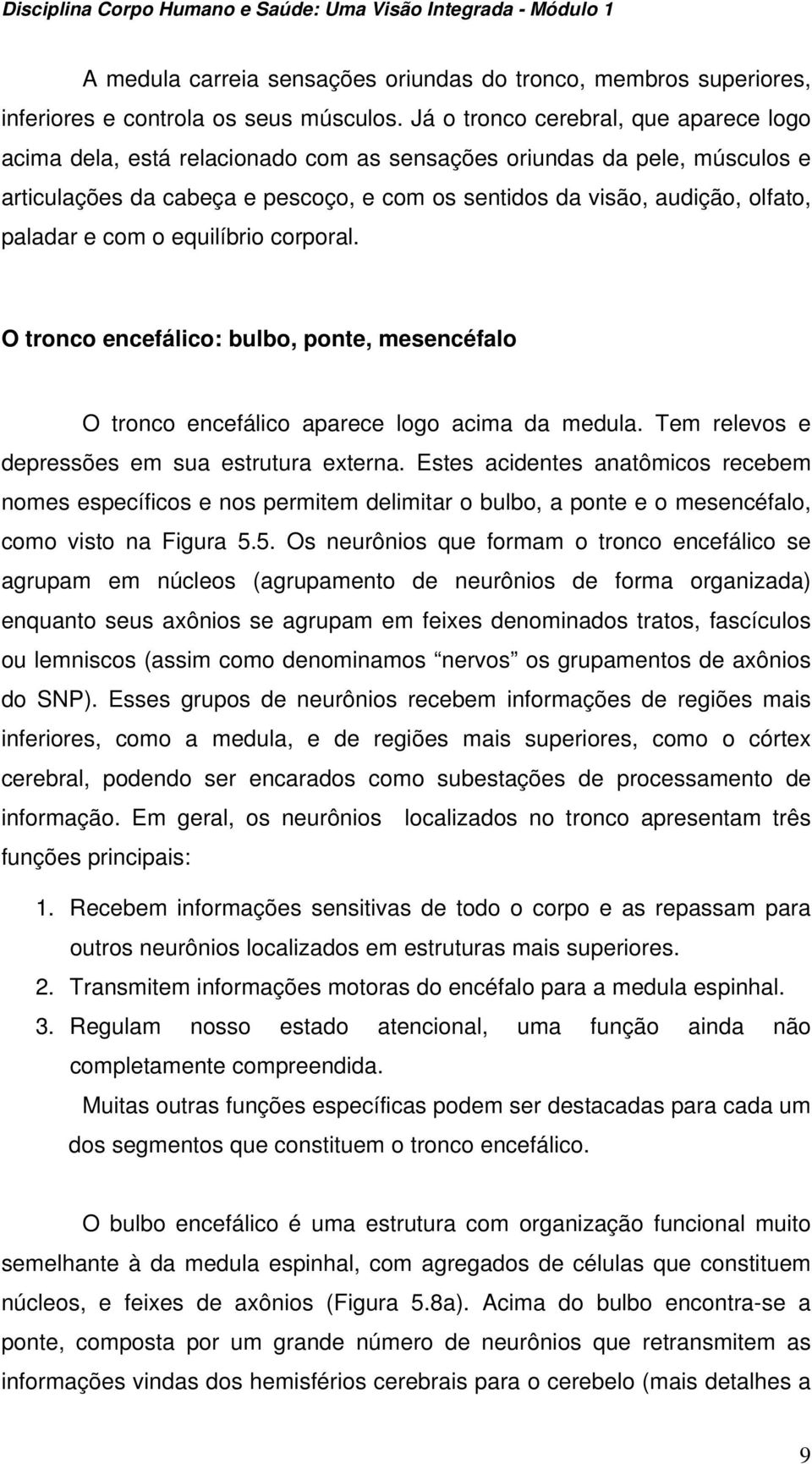 paladar e com o equilíbrio corporal. O tronco encefálico: bulbo, ponte, mesencéfalo O tronco encefálico aparece logo acima da medula. Tem relevos e depressões em sua estrutura externa.