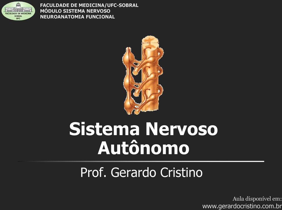 Sistema Nervoso Autônomo Prof.