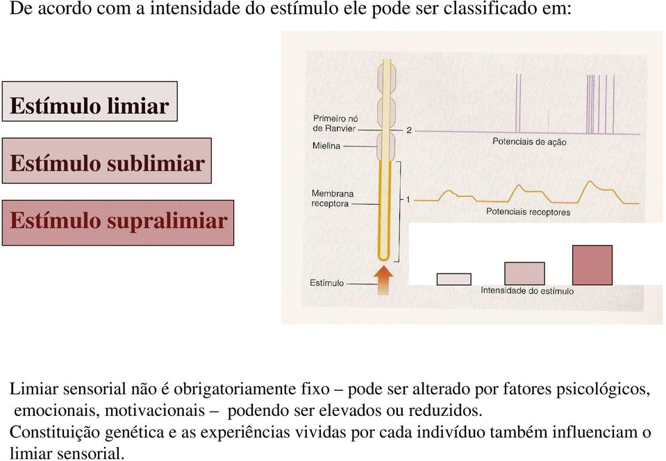 por fatores psicológicos, emocionais, motivacionais podendo ser elevados ou reduzidos.