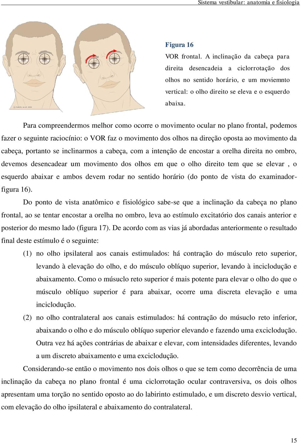 inclinarmos a cabeça, com a intenção de encostar a orelha direita no ombro, devemos desencadear um movimento dos olhos em que o olho direito tem que se elevar, o esquerdo abaixar e ambos devem rodar