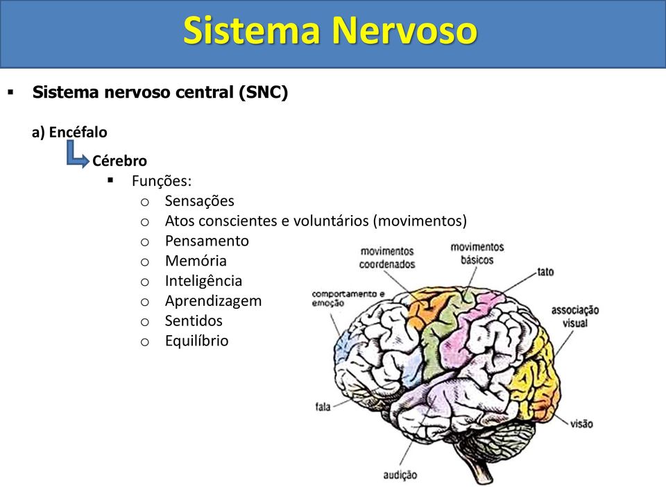 (movimentos) o Pensamento o Memória o