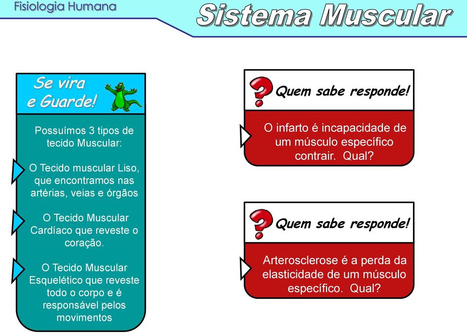 Tecido Muscular Cardíaco que reveste o coração.