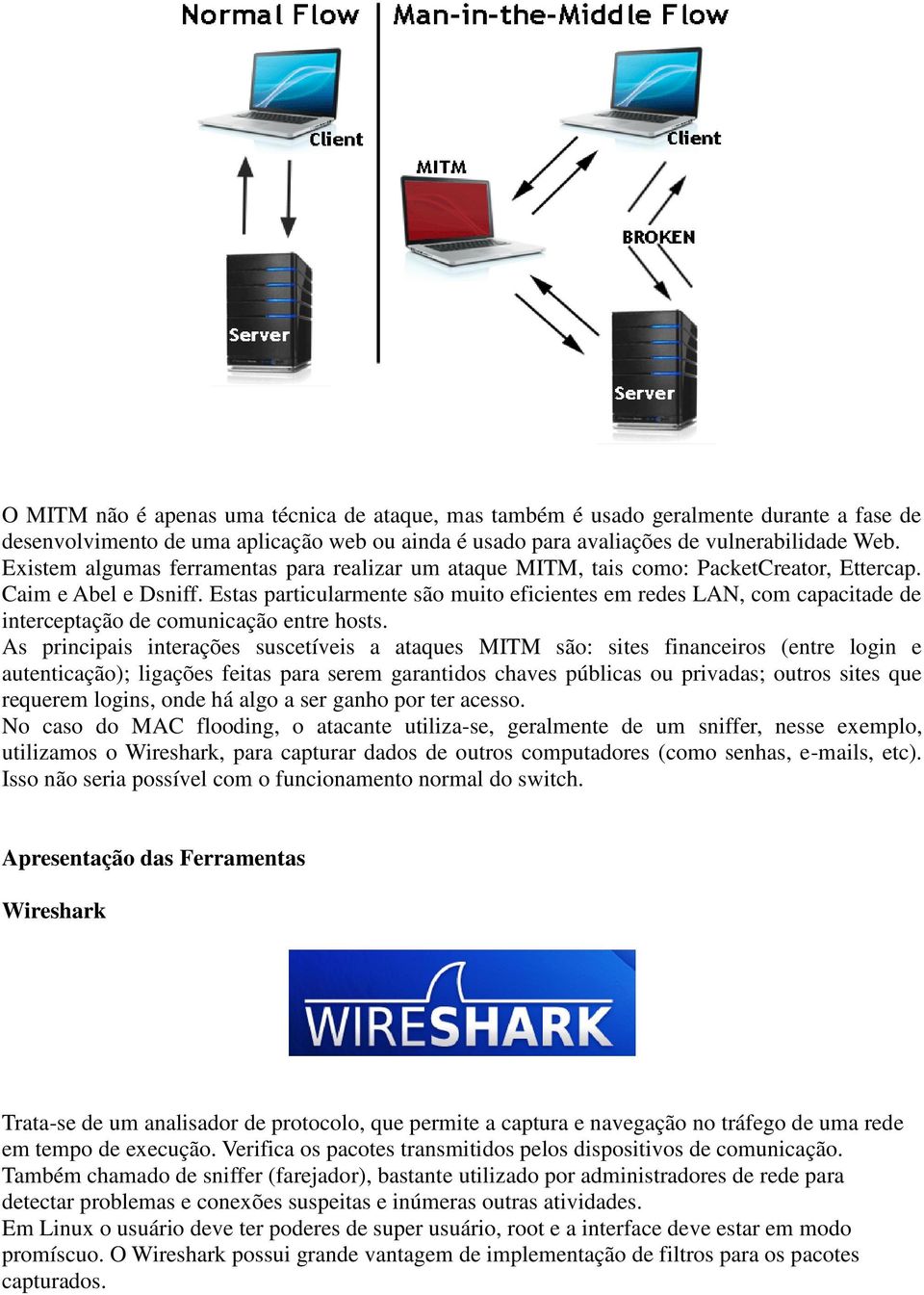 Estas particularmente são muito eficientes em redes LAN, com capacitade de interceptação de comunicação entre hosts.