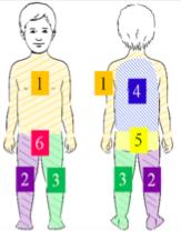 (Dois toalhetes) Pescoço, tronco, ambos Pescoço, tórax anterior e Pescoço, tórax anterior os braços ambos os braços e ambos os braços Ambas as pernas, Costas e nádegas Perna direita