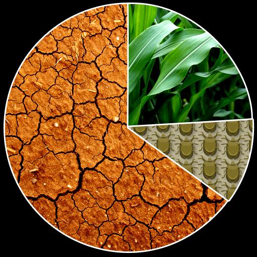 2 Uso de bioestimulantes 24% do Potencial é expressado Média de seis culturas: soja, milho, trigo cevada, batata,