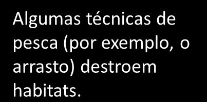 São pescadas grandes quantidades. Algumas redes têm malhas muito reduzidas, sendo apanhados alguns animais ainda juvenis.