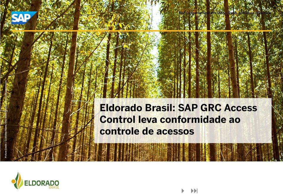 Eldorado Brasil: SAP GRC Access