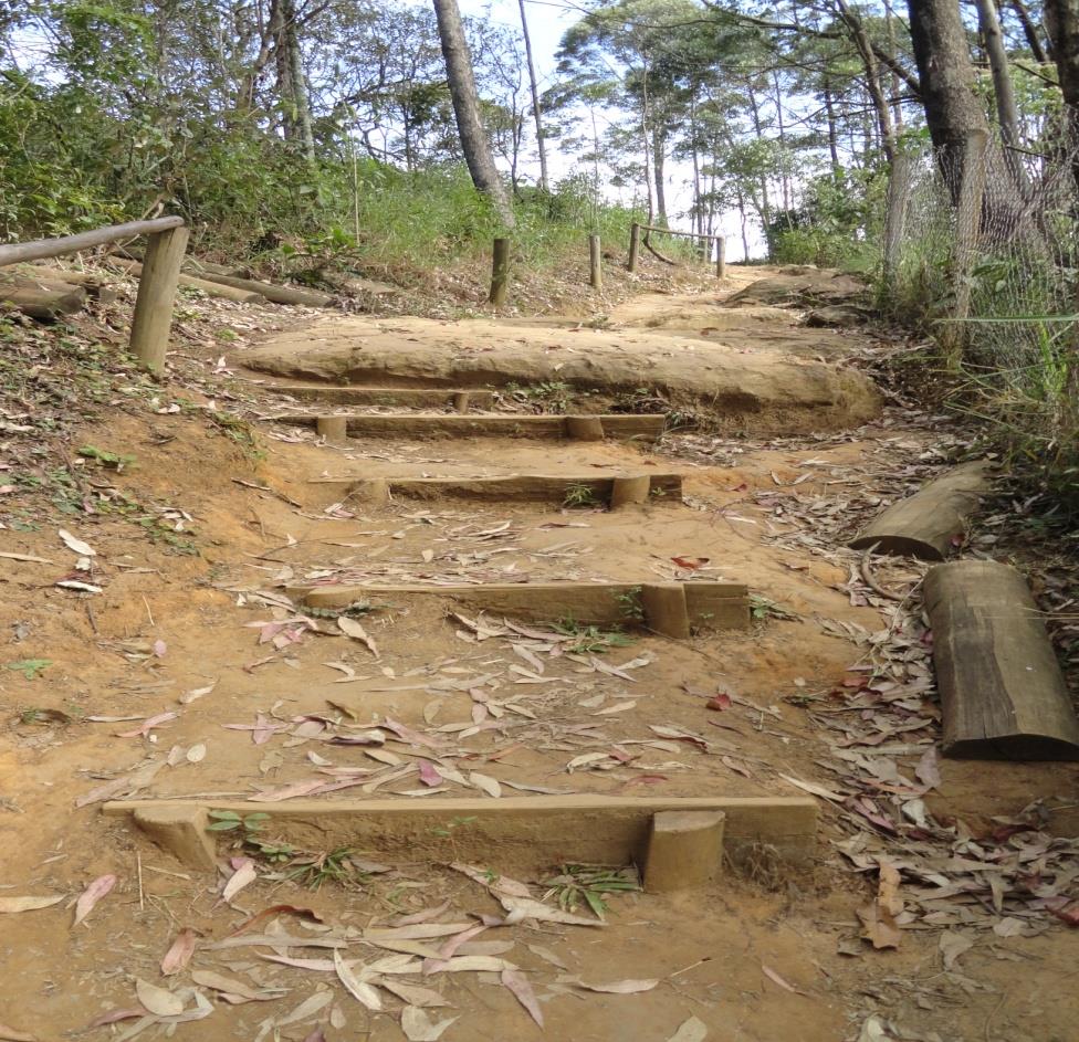 Instalar corrimão diagonais de drenagem Ponto 045 Escada precária, com madeira em estado de deterioração e com as estacas soltas.