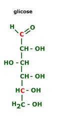 A isomeria para os seres vivos α=cis β=trans