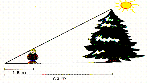 Observa a figura: 13.1. Mostra, justificando convenientemente, que os triângulos [ABC] e [CDE] são semelhantes. 13.. Sabendo que AB =18 cm, DE =4 cm e CE =3 cm, determina BC.