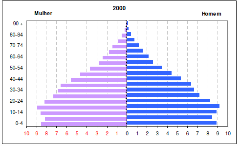 A imagem do Brasil envelhecendo (1) Pirâmides etárias brasileiras: