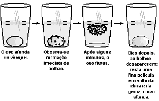 06- (UFMG 2005) Realizou-se um experimento com um ovo cru e um copo contendo vinagre, como descrito nestas quatro figuras: Sabe-se que a casca do ovo é constituída por carbonato de cálcio e que o