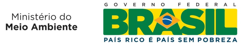 Ministério do Meio Ambiente Secretaria de Mudanças Climáticas e Qualidade Ambiental Departamento de Mudanças Climáticas Coordenação de Proteção da Camada de Ozônio A