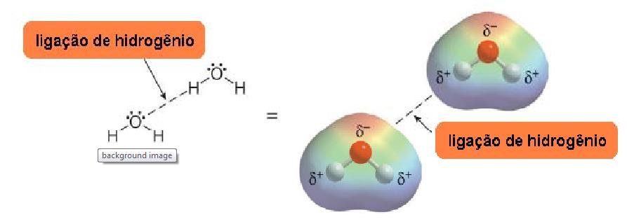 4 FIGURA 4 Ligação de hidrogênio entre as moléculas de água.