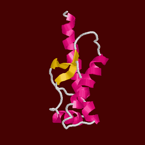 BIOMOLÉCULAS As