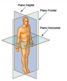 Cinesiologia Classificação planar da posição e dos movimentos Prof. Cláudio Manoel Cinemática: Ciência do movimento dos corpos no espaço Movimento de único ponto (C.G.