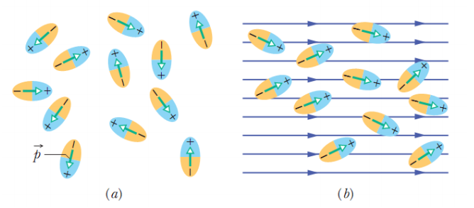 ap. 5: apacitância Natureza dos Dielétricos As moléculas dos materiais dielétricos podem ser polares ou apolares.