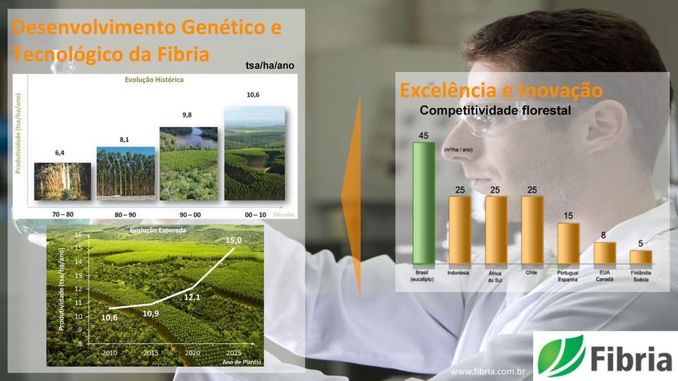 tsa/ha/ano Excelência e