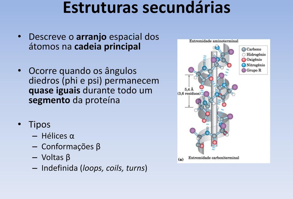 permanecem quase iguais durante todo um segmento da proteína