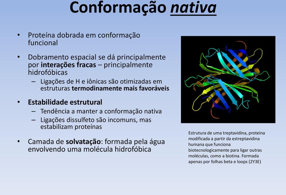 são incomuns, mas estabilizam proteínas Camada de solvatação: formada pela água envolvendo uma molécula hidrofóbica Estrutura de uma treptavidina, proteína