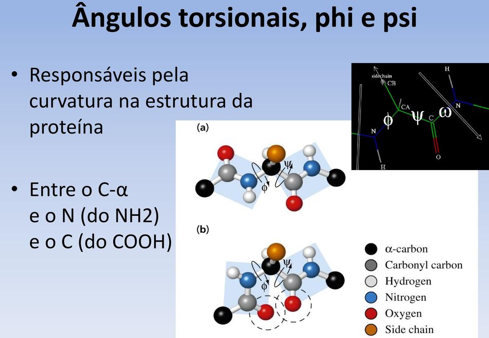 estrutura da proteína Entre o