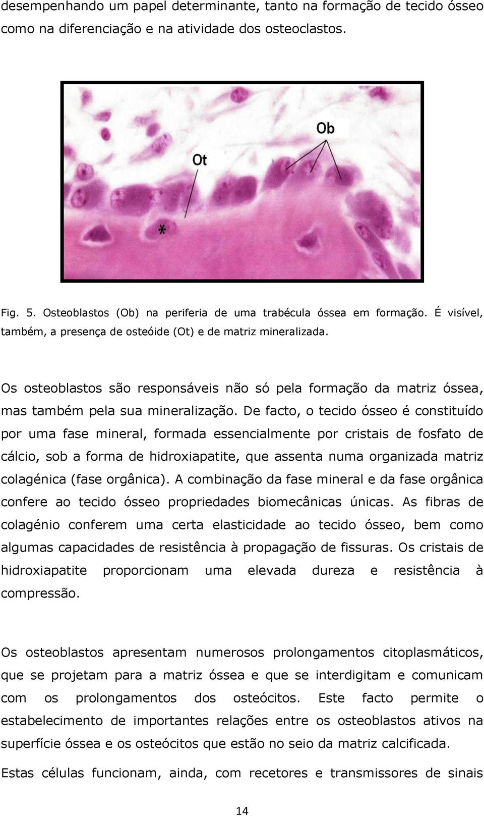 De facto, o tecido ósseo é constituído por uma fase mineral, formada essencialmente por cristais de fosfato de cálcio, sob a forma de hidroxiapatite, que assenta numa organizada matriz colagénica