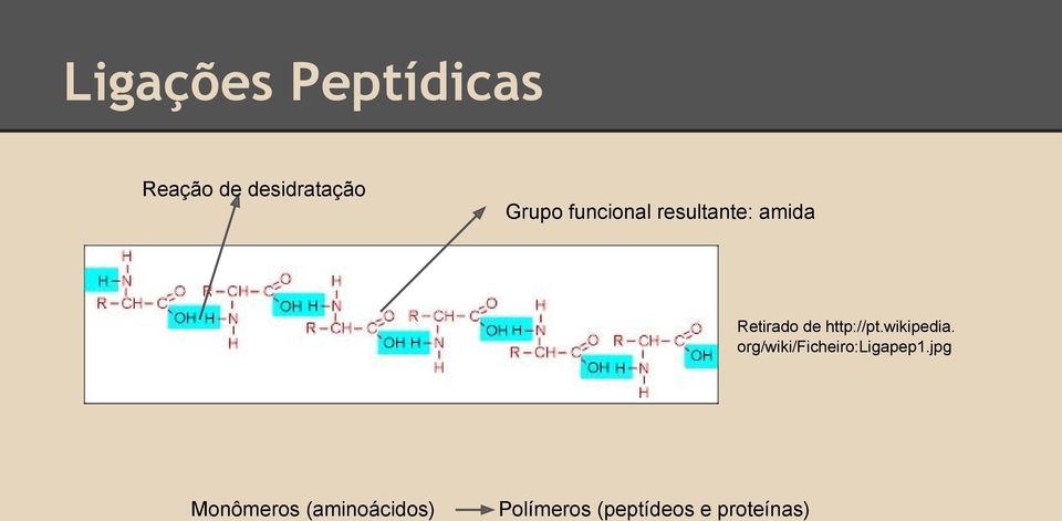 wikipedia. org/wiki/ficheiro:ligapep1.