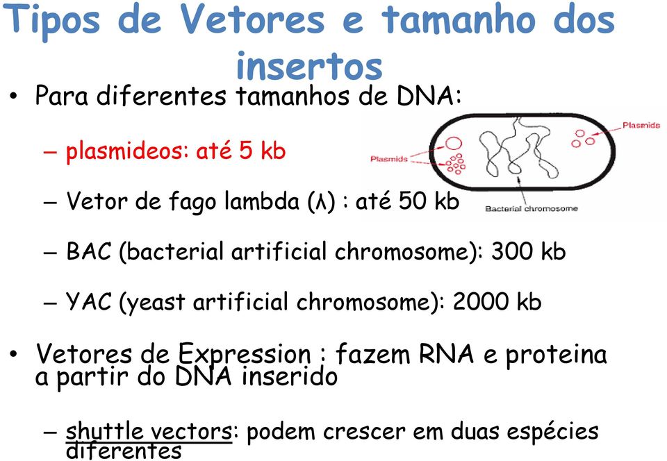 300 kb YAC (yeast artificial chromosome): 2000 kb Vetores de Expression : fazem RNA e