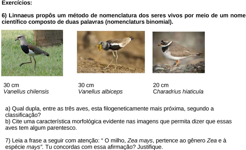 30 cm Vanellus chilensis 30 cm Vanellus albiceps 20 cm Charadrius hiaticula a) Qual dupla, entre as três aves, esta filogeneticamente mais