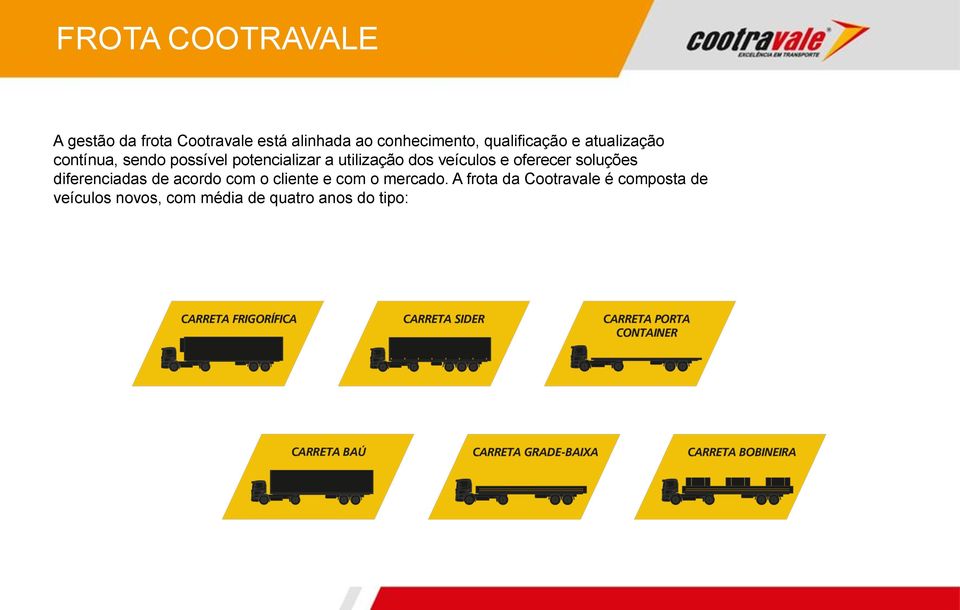 veículos e oferecer soluções diferenciadas de acordo com o cliente e com o mercado.