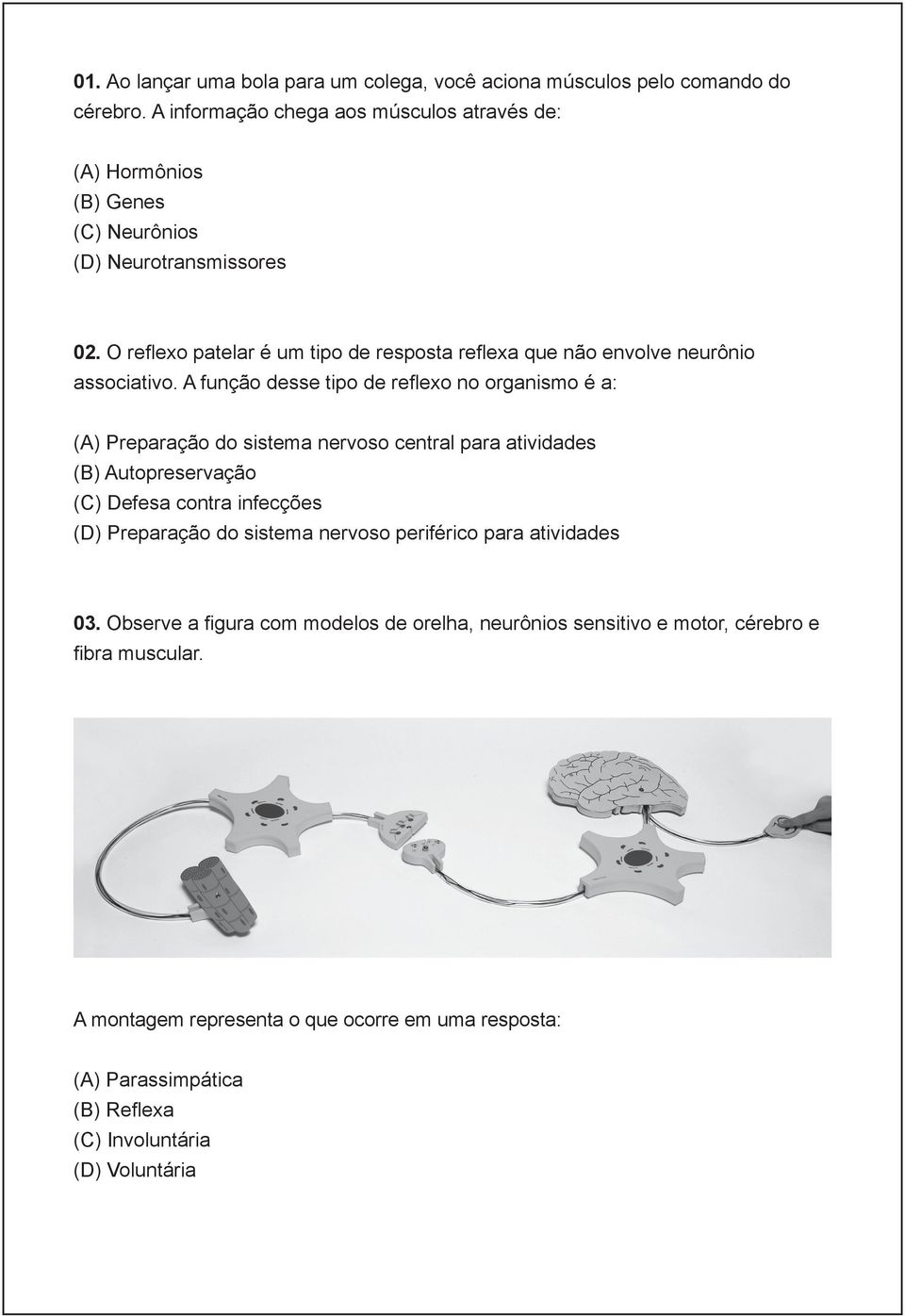 O reflexo patelar é um tipo de resposta reflexa que não envolve neurônio associativo.