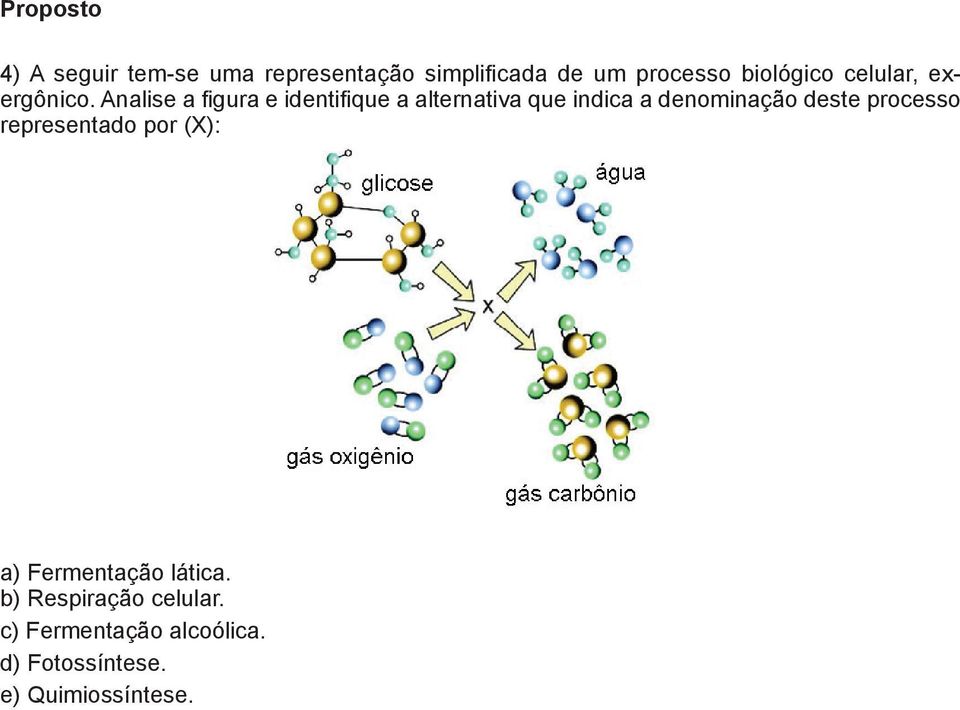 Analise a figura e identifique a alternativa que indica a denominação deste