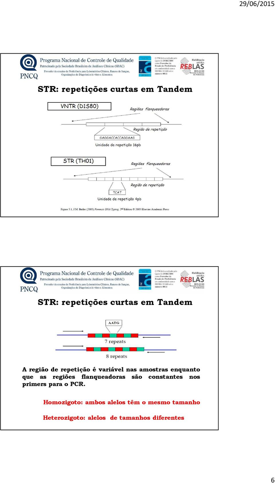 flanqueadoras são constantes nos primers para o PCR.