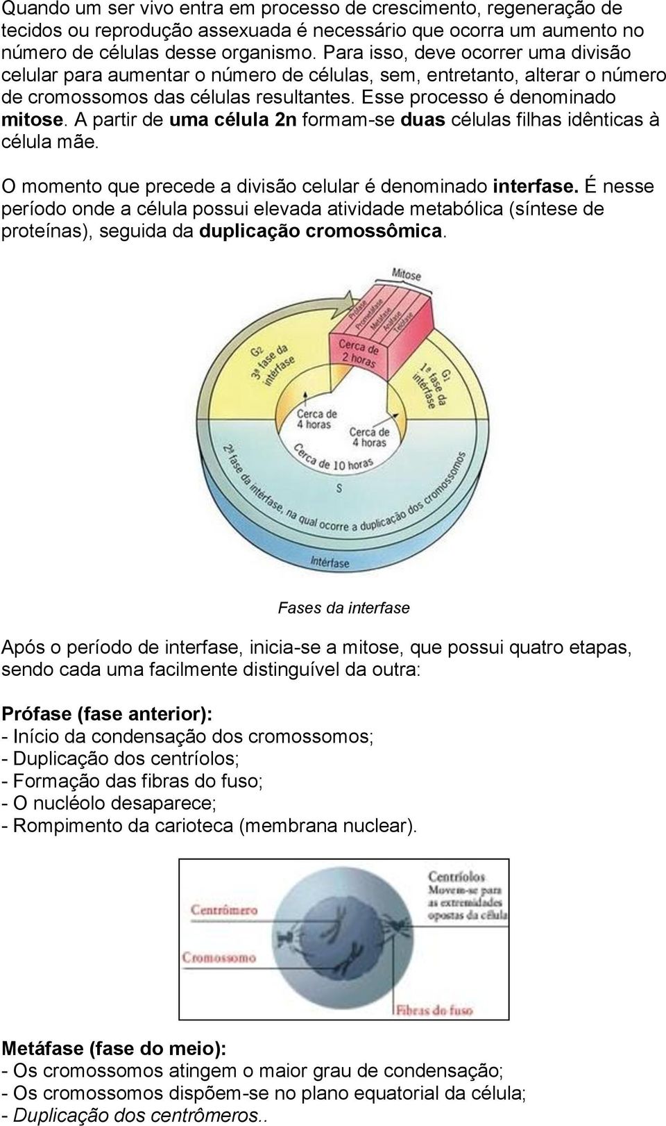 A partir de uma célula 2n formam-se duas células filhas idênticas à célula mãe. O momento que precede a divisão celular é denominado interfase.