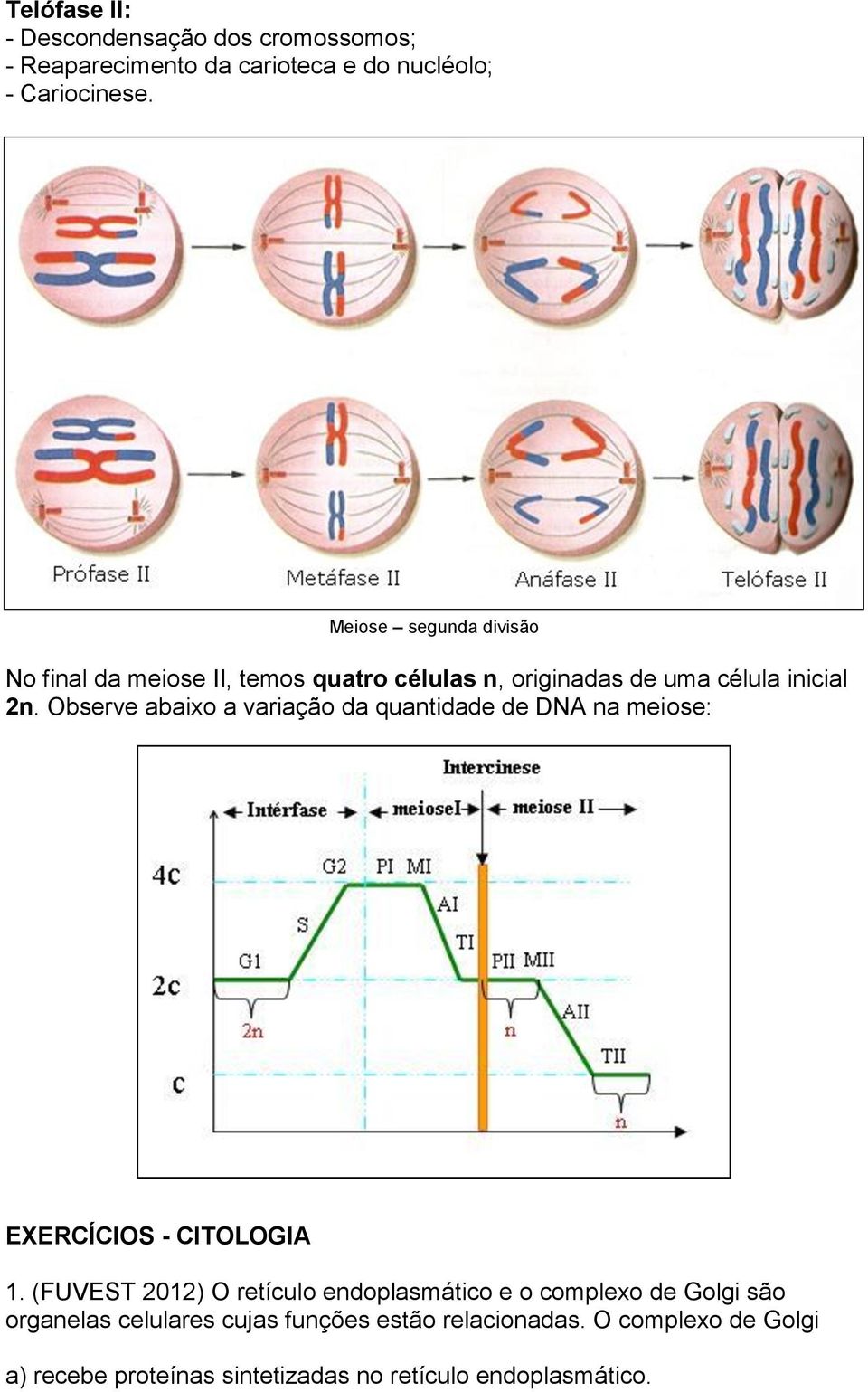 Observe abaixo a variação da quantidade de DNA na meiose: EXERCÍCIOS - CITOLOGIA 1.