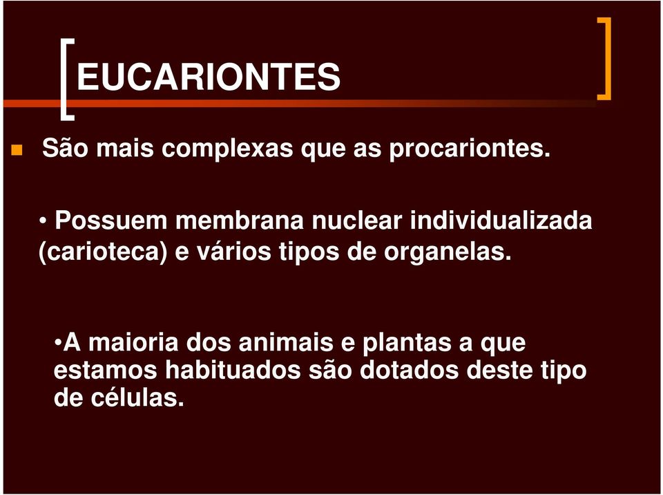 vários tipos de organelas.