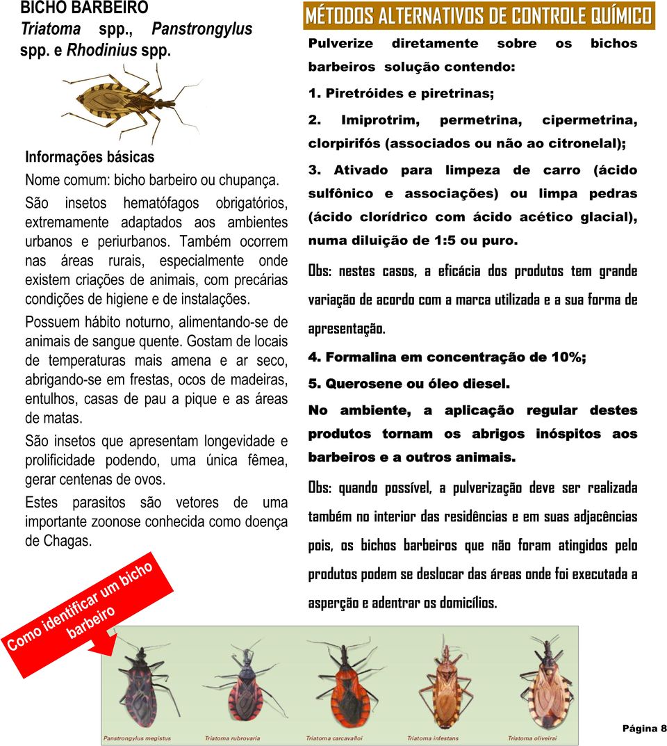 São insetos hematófagos obrigatórios, extremamente adaptados aos ambientes urbanos e periurbanos.