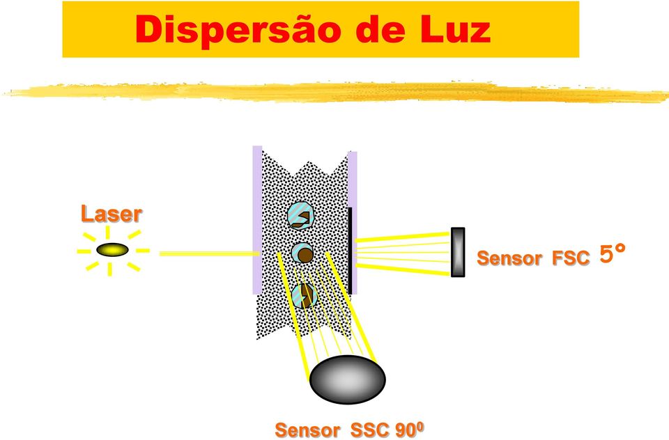 Sensor FSC