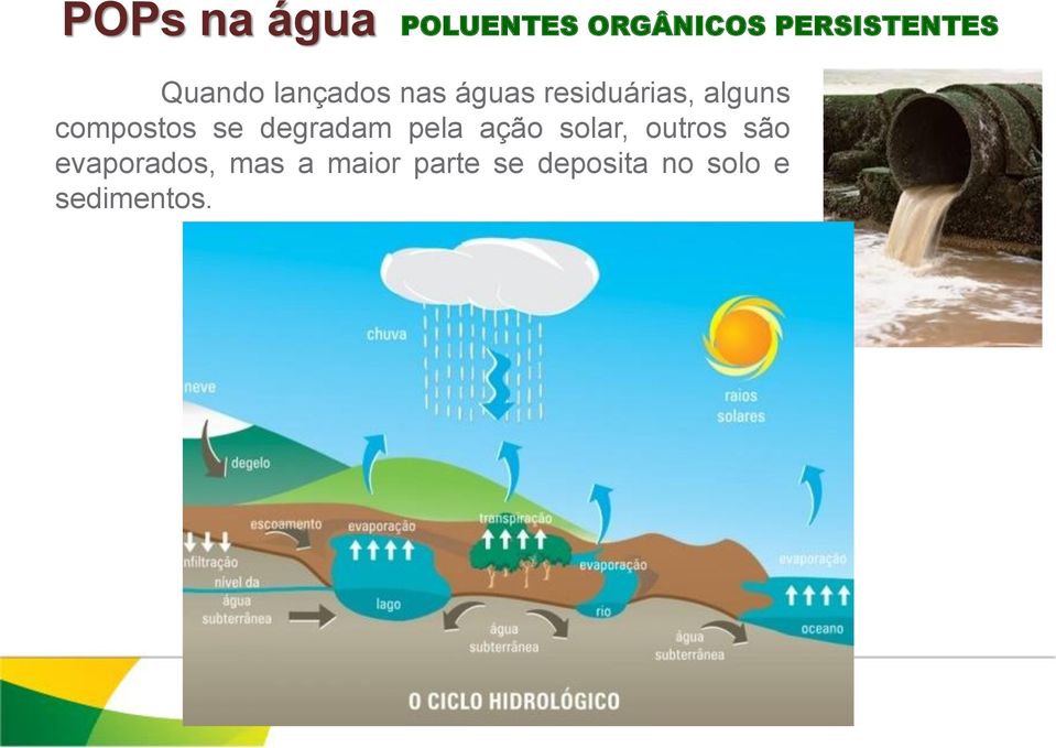 compostos se degradam pela ação solar, outros são