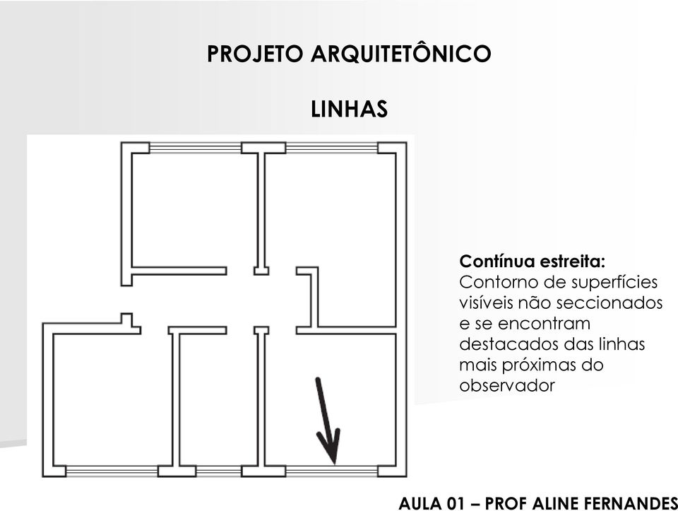 visíveis não seccionados e se encontram