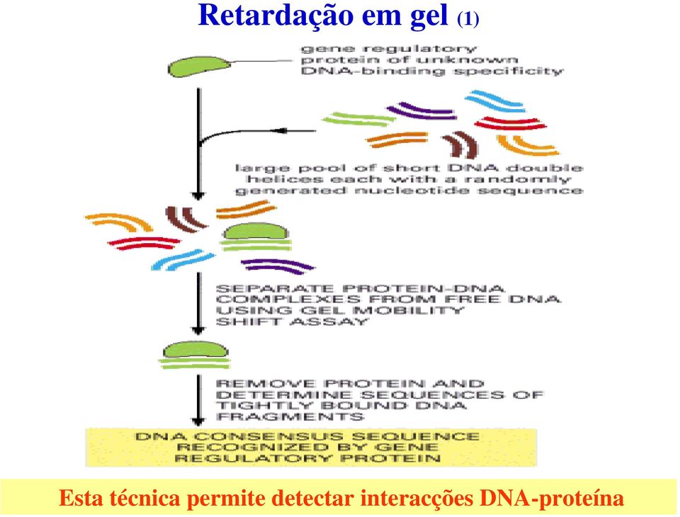 permite detectar