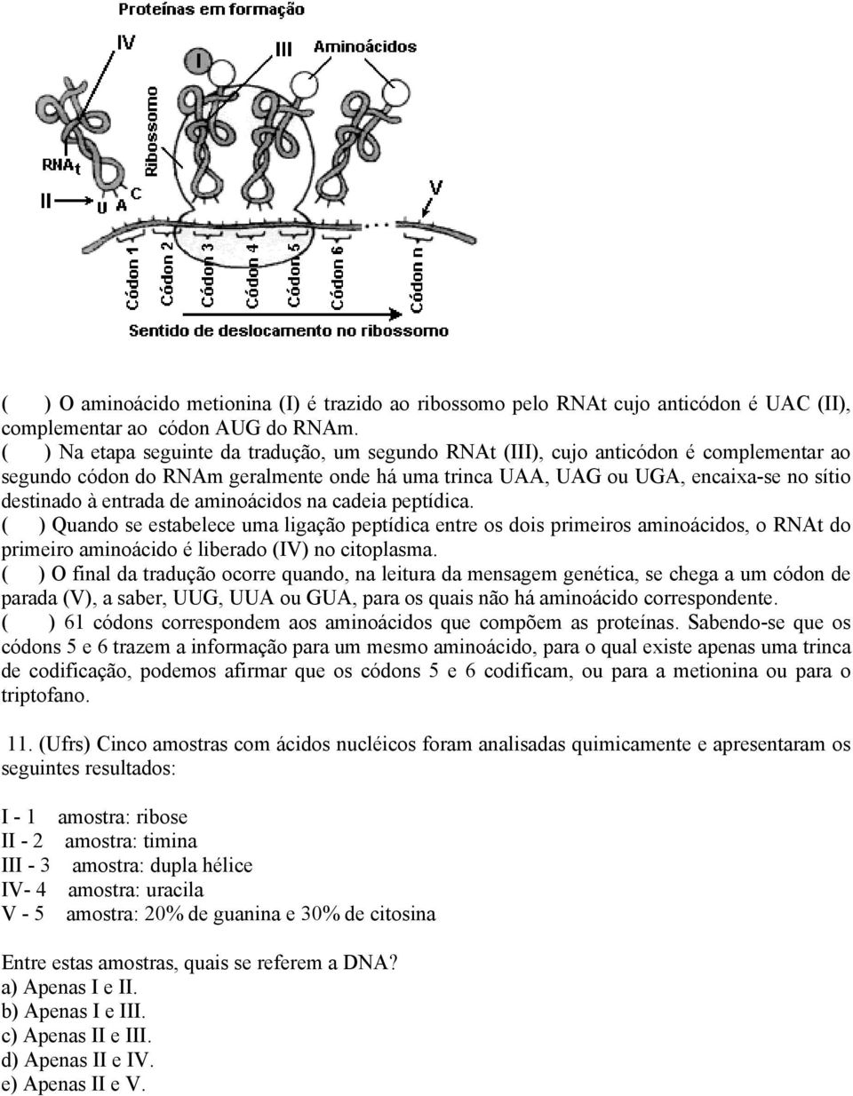 de aminoácidos na cadeia peptídica. ( ) Quando se estabelece uma ligação peptídica entre os dois primeiros aminoácidos, o RNAt do primeiro aminoácido é liberado (IV) no citoplasma.