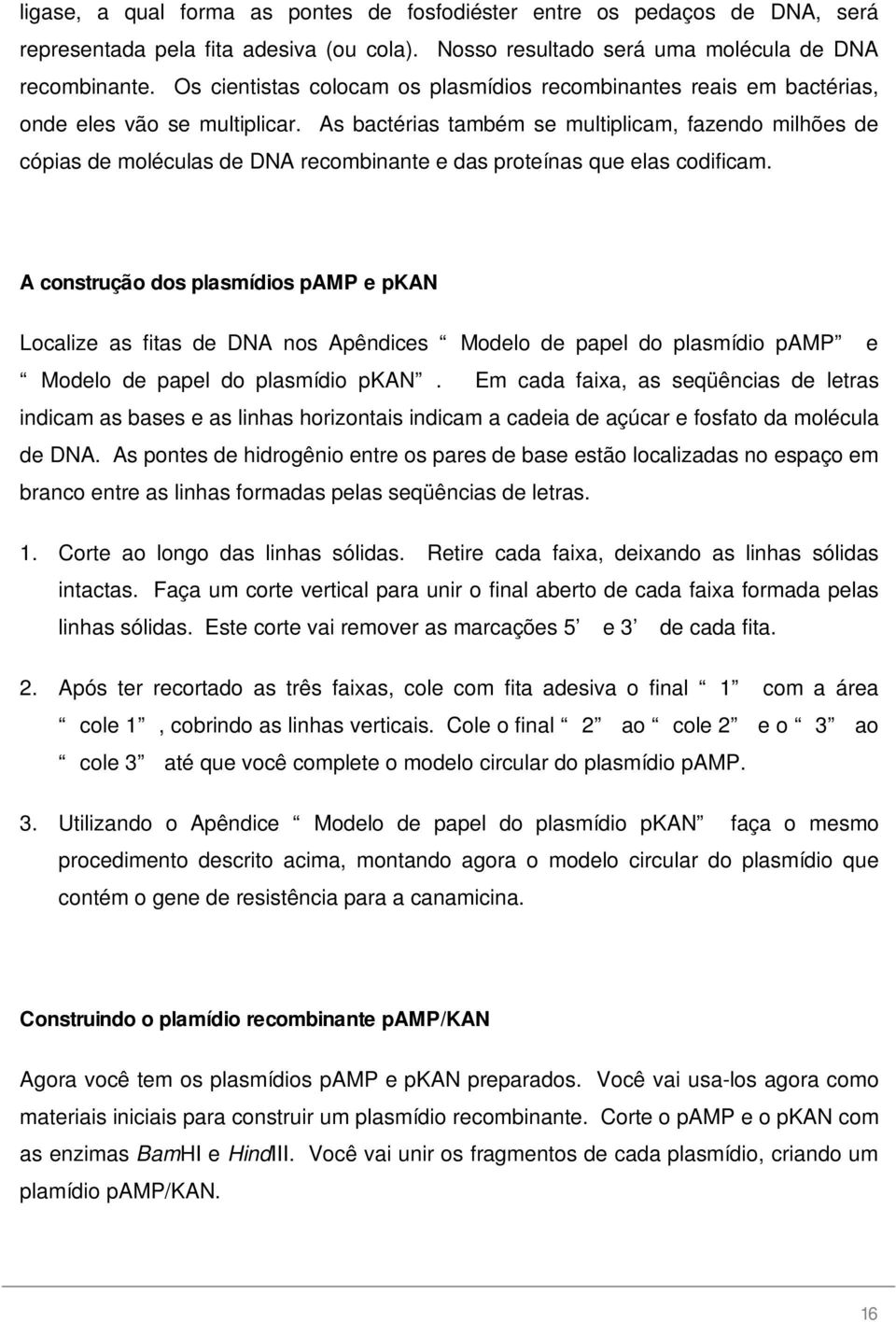 As bactérias também se multiplicam, fazendo milhões de cópias de moléculas de DNA recombinante e das proteínas que elas codificam.