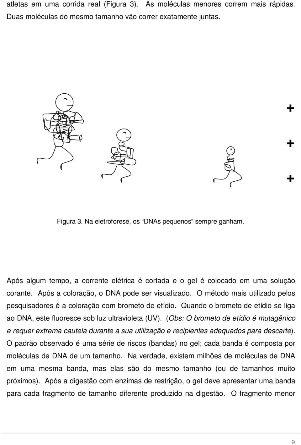 O método mais utilizado pelos pesquisadores é a coloração com brometo de etídio. Quando o brometo de etídio se liga ao DNA, este fluoresce sob luz ultravioleta (UV).