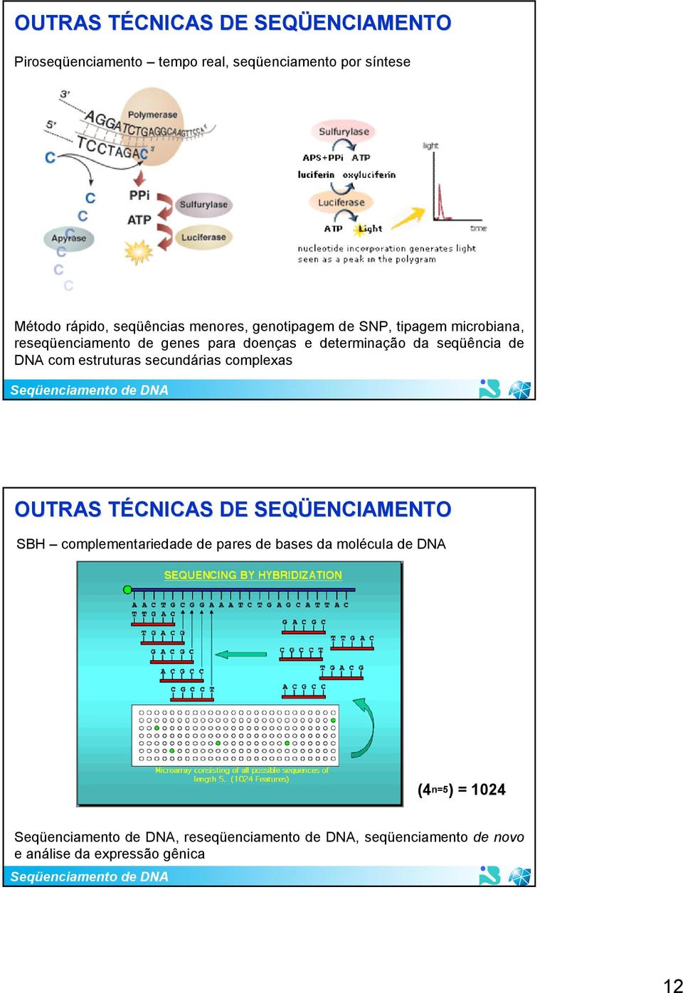 seqüência de DNA com estruturas secundárias complexas OUTRAS TÉCNICAS T DE SEQÜENCIAMENTO ENCIAMENTO SBH complementariedade