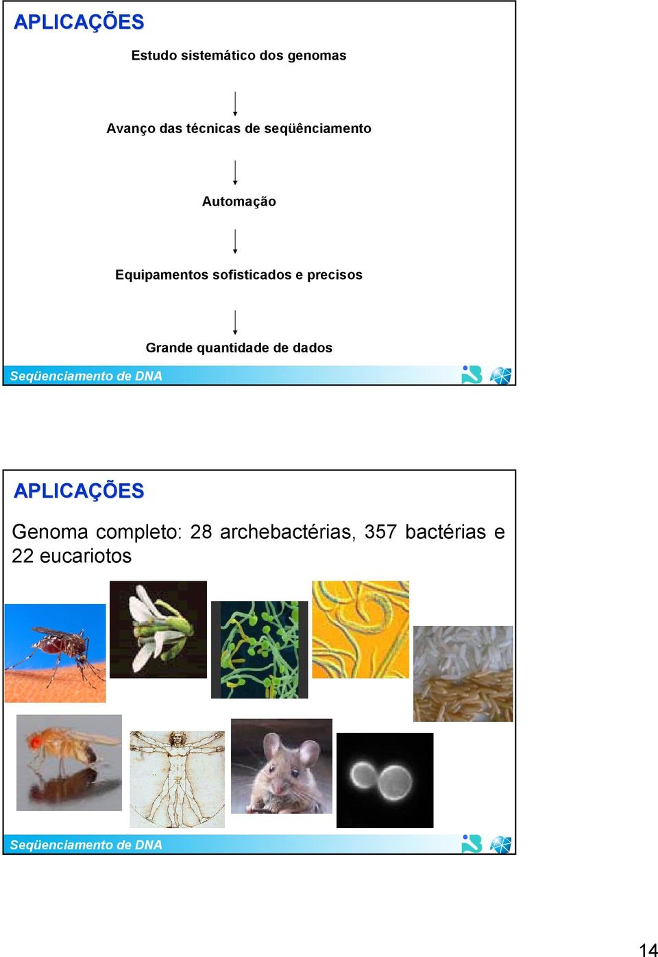 sofisticados e precisos Grande quantidade de dados